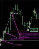 MT4 Gold Scalping EA Robot XAUUSD Expert Advisor Automated Strategy